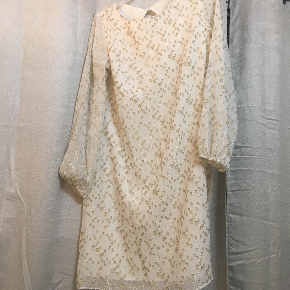 Cream with gold specs long sleeve shift dress!